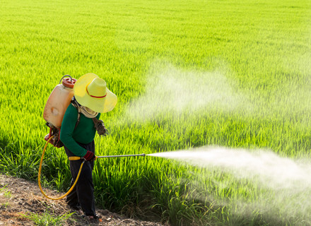 Intermediates for pesticides